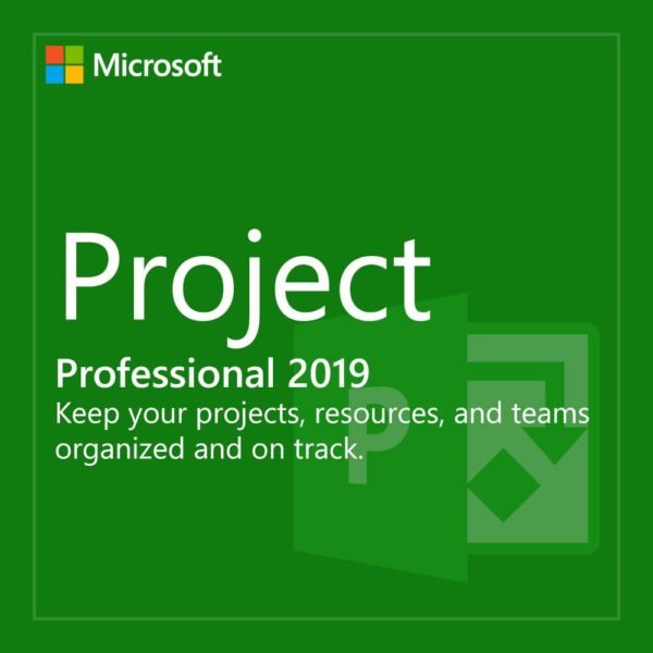 Project 2019 Pro